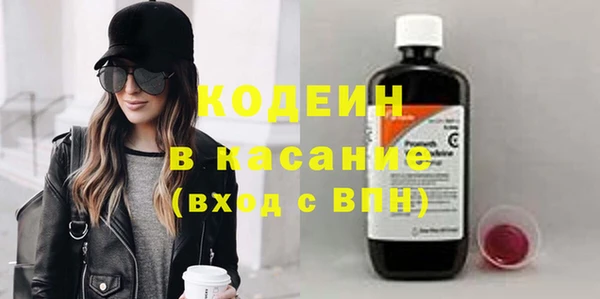 крисы Краснослободск