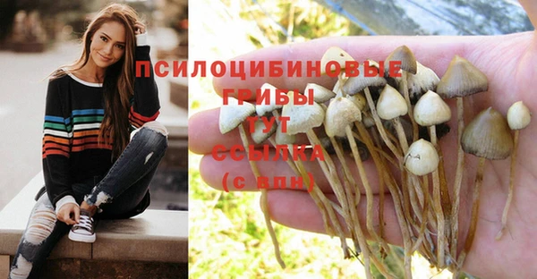 таблы Костерёво