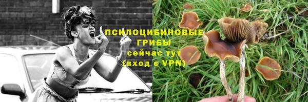 крисы Краснослободск