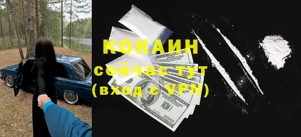 крисы Краснослободск