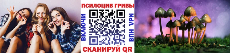 Купить  Вилючинск  Галлюциногенные грибы Cubensis 